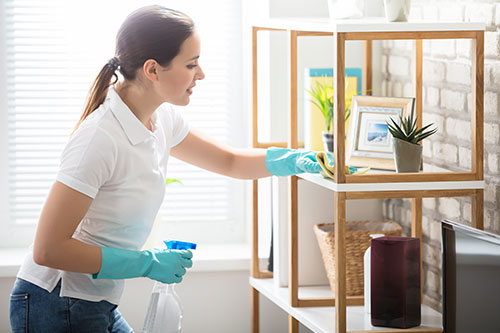 Home Cleaning and Home Repair - Boise Idaho