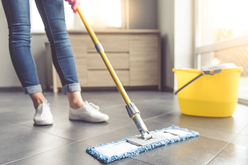 Home Cleaning and Home Repair - Boise Idaho
