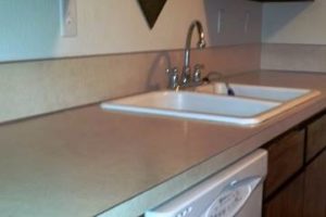 Home Cleaning and Home Repair - Boise Idaho